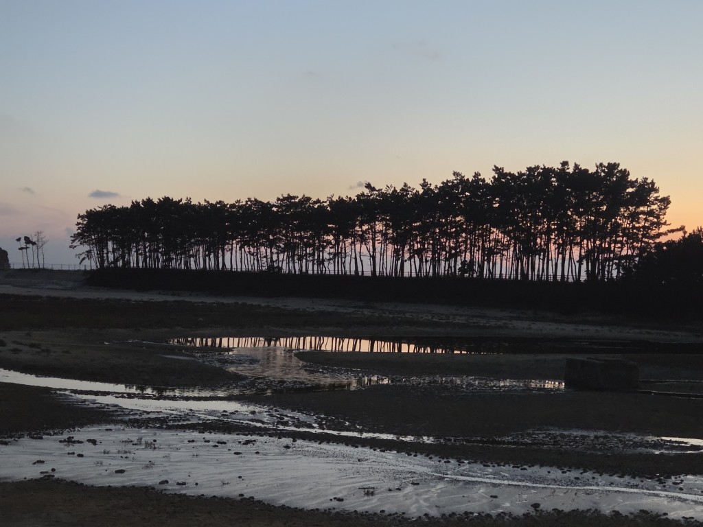 운여해변과 바다에 비친 솔나무_출처_태안문화원