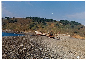 자연과 사람이 함께 만든 유산, 태안 내파수도 해안 자갈톱