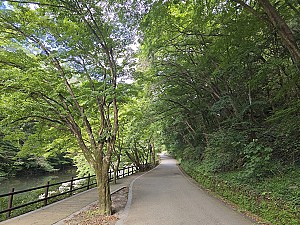 흰양도 감복한 설법이 이어지는 사찰, 장성 백양사