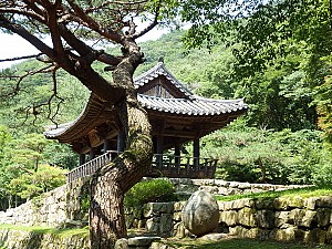 경상도 관찰사 이임의 무대, 문경새재 교귀정 이야기