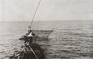 보리수확철에 즐겨 먹던 제주도 특산물 자리돔 잡이