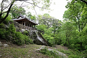 순천 초연정 원림