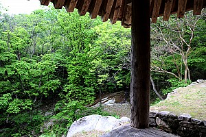 순천 초연정 원림 내원