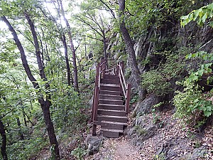 명승31호, 토끼벼랑의 금석문