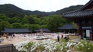 봉암사, 산사에 깃든 선문화의 위상