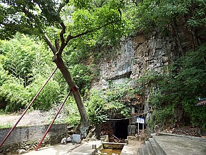 호계별신굿, 마을의 풍요를 기원하다