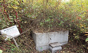 시우골 내시 무덤의 비밀