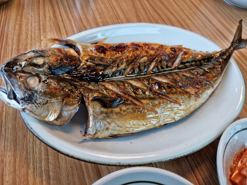 자리물회