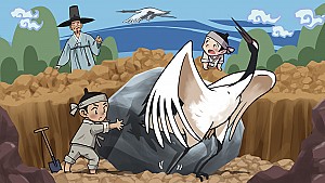 묏자리에 학이 날아오른 안동 하이마