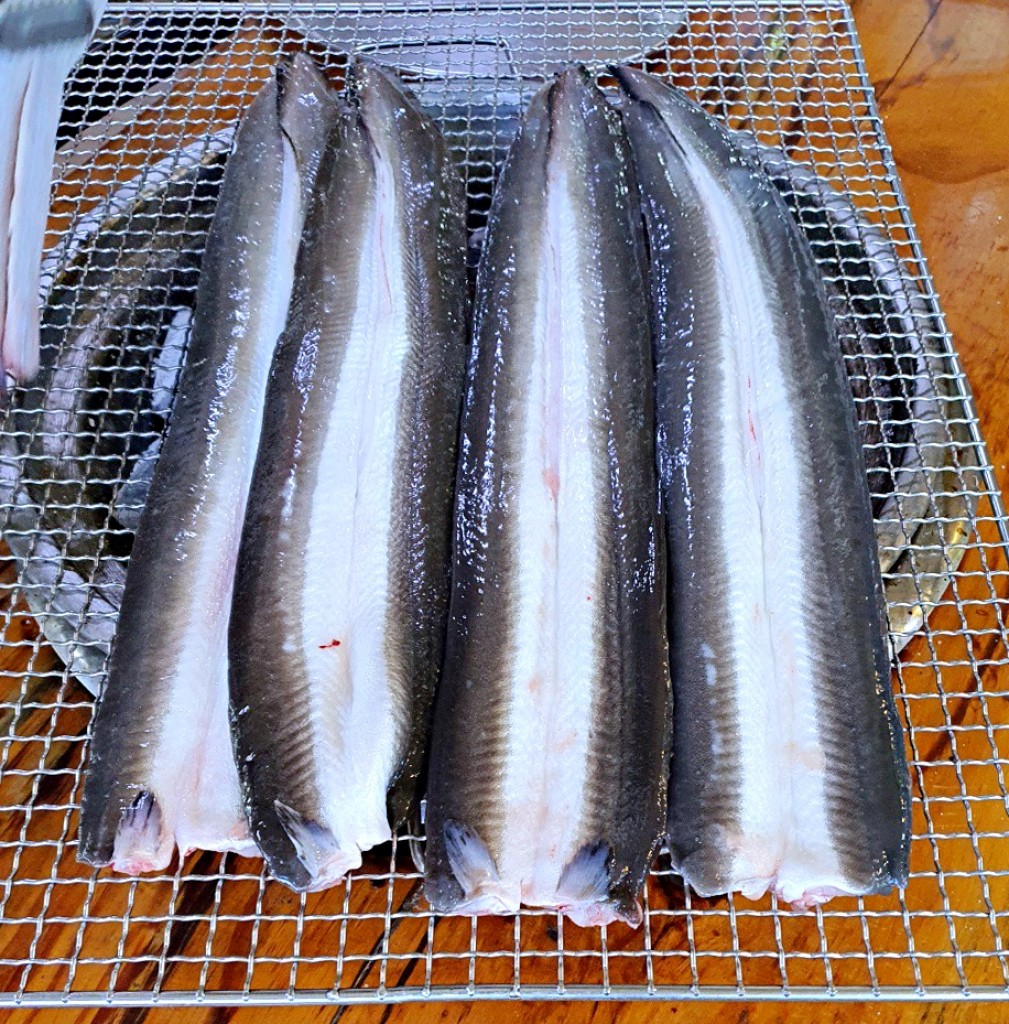 보양강장식품의 대명사, 고창 풍천장어구이<우리집의 맛과 향, 향토음식<지역N문화 테마 보양강장식품의 대명사, 고창 풍천장어구이
