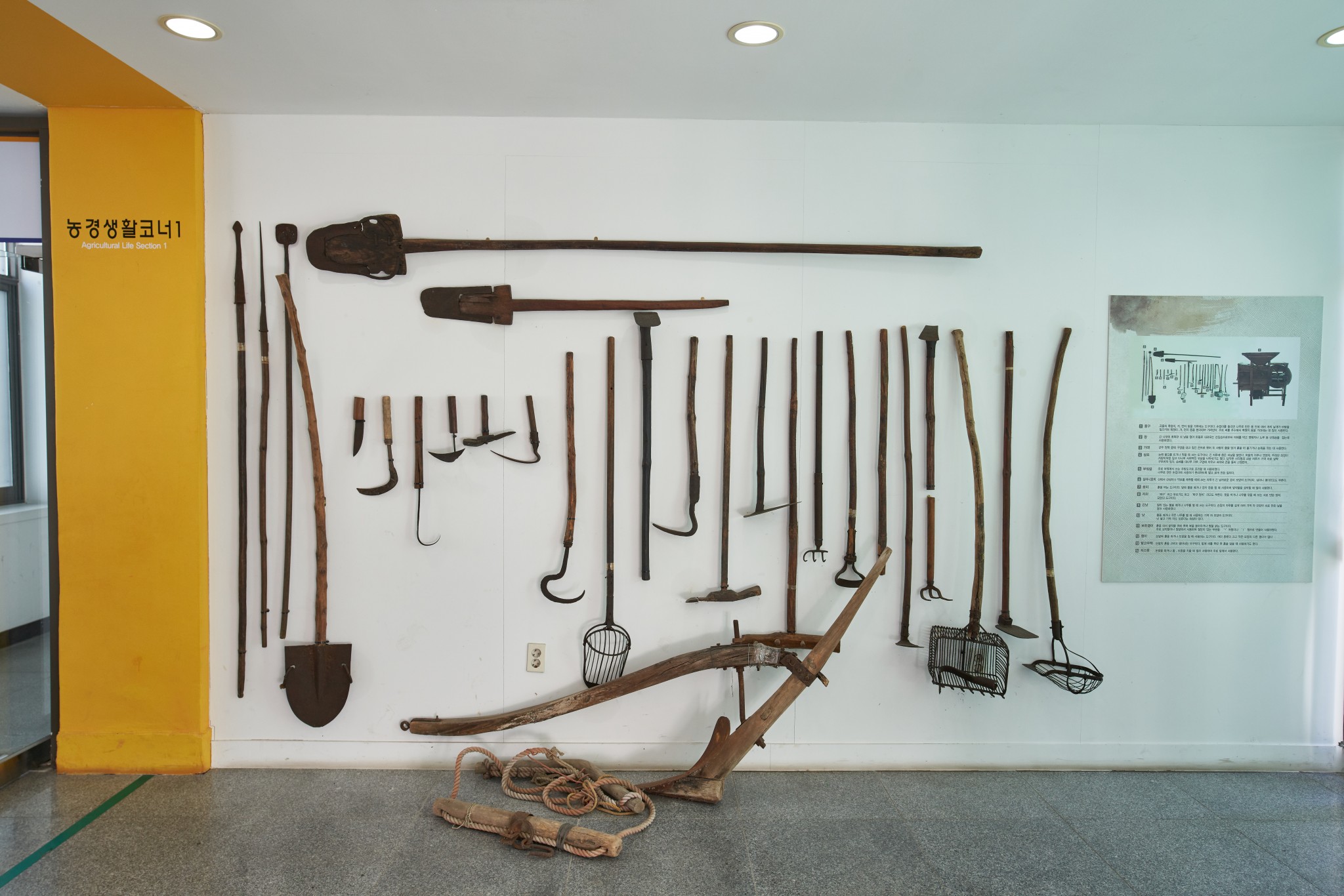 ์ด์
ํ ์ฌ๊ฑด์์ ํ์ํ ์ง์ญ ๊ต์ก์ ๊ฑฐ์ - ๊ด์ฃผ๊ต์ก๋ํ๊ต ๊ต์ก๋ฐ๋ฌผ๊ด ์ด๋ฏธ์ง ์
๋๋ค.