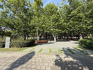 부산의 과거, 그리고 미래 ‘시민공원 세 나무’