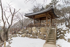 DMZ 안의 비경 양구 두타연