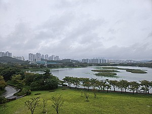 화랑이 없는 화랑유원지