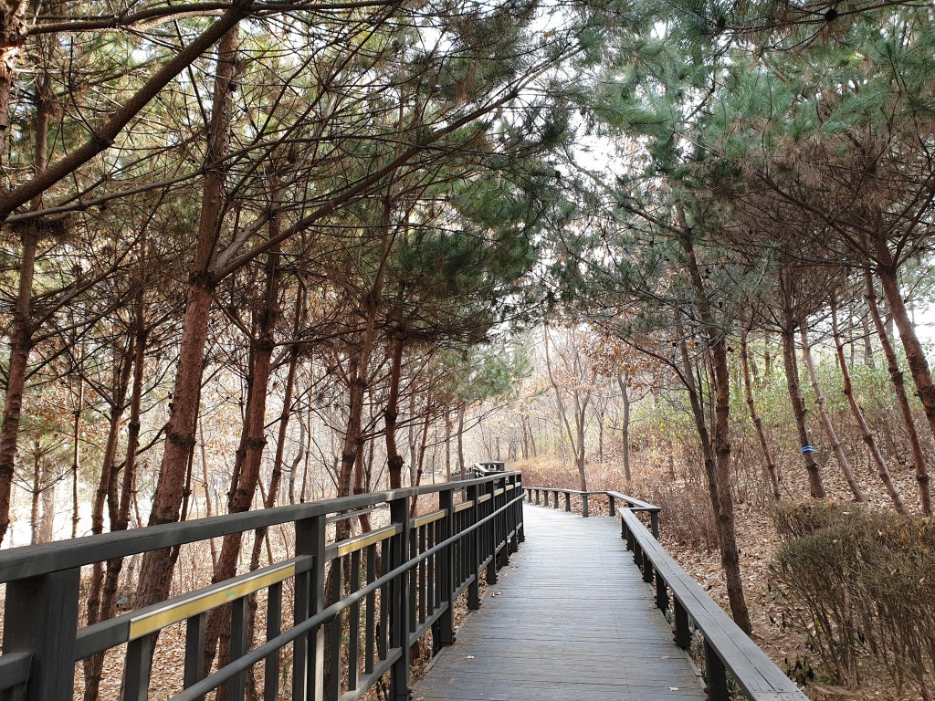 프리디자인 이미지
