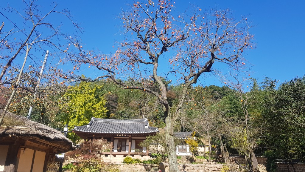 백운동 계곡의 정원 강진군의 백운동 원림<자연이 주는 선물, 명승지와 절경<지역N문화 테마 백운동 계곡의 정원 강진군의 백운동 원림