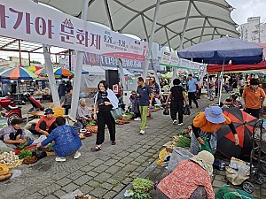 함안 오일장의 흥망성쇠를 따라가다