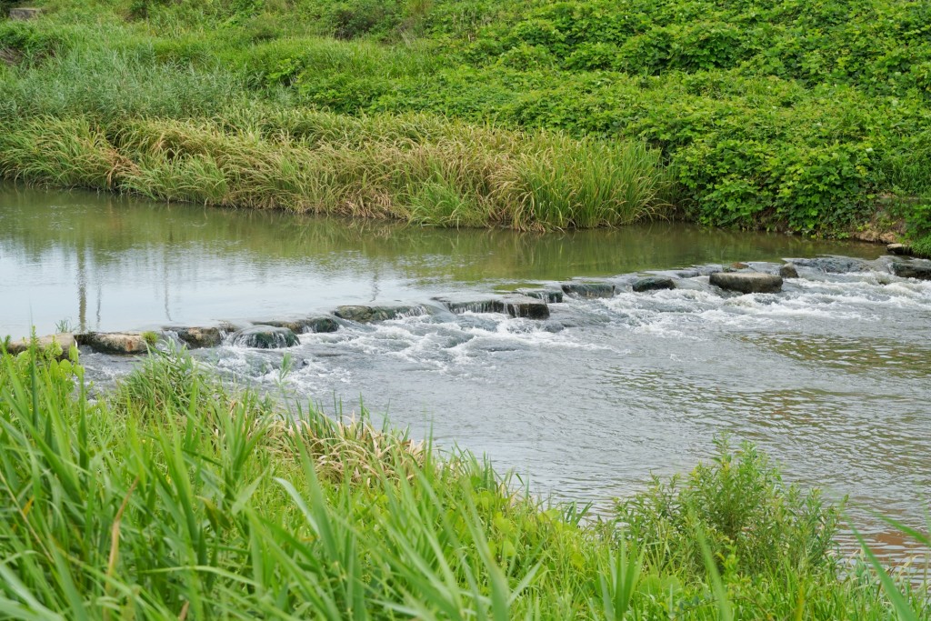 영암천과 옛 덕진교 