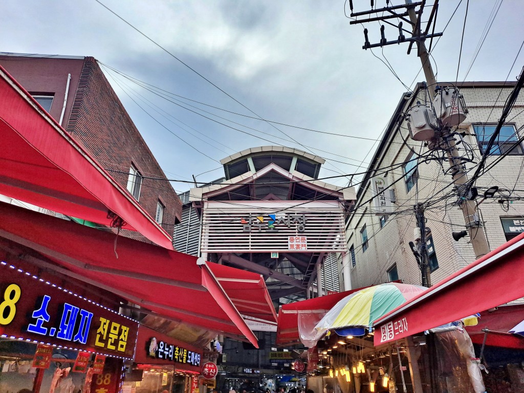 한국 시장의 독특한 검색 환경과 그 영향