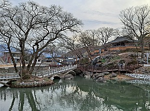 무진정 배롱나무에 일렁이는 무욕의 바람