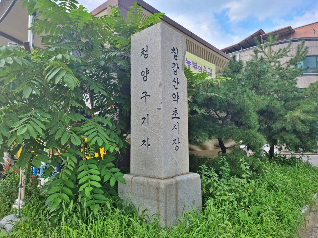 청양 구기자약초시장 입구 