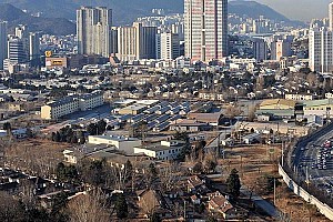 1954년 이후부터 통용된 애칭 ‘캠프 하야리아’