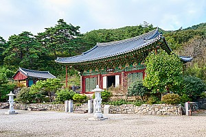 불과 대나무 소금의 연주자 죽염제조장