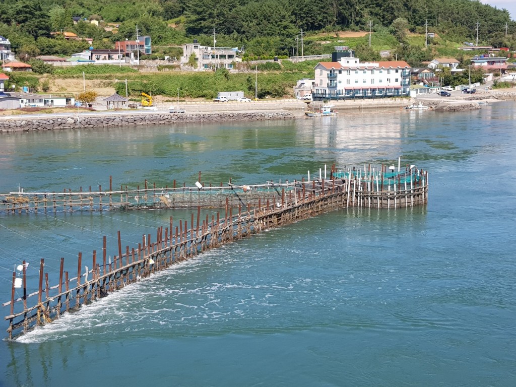 남해 지족해협의 죽방렴
