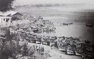 미군기지 확장 속에서 남은 것, 하제마을과 팽나무