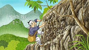 석이버섯 따는 나무꾼의 안전을 위해 소리질러준 울산 고함산
