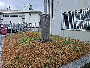 엄혹한 세월을 온몸으로 살아낸 동래 할멈