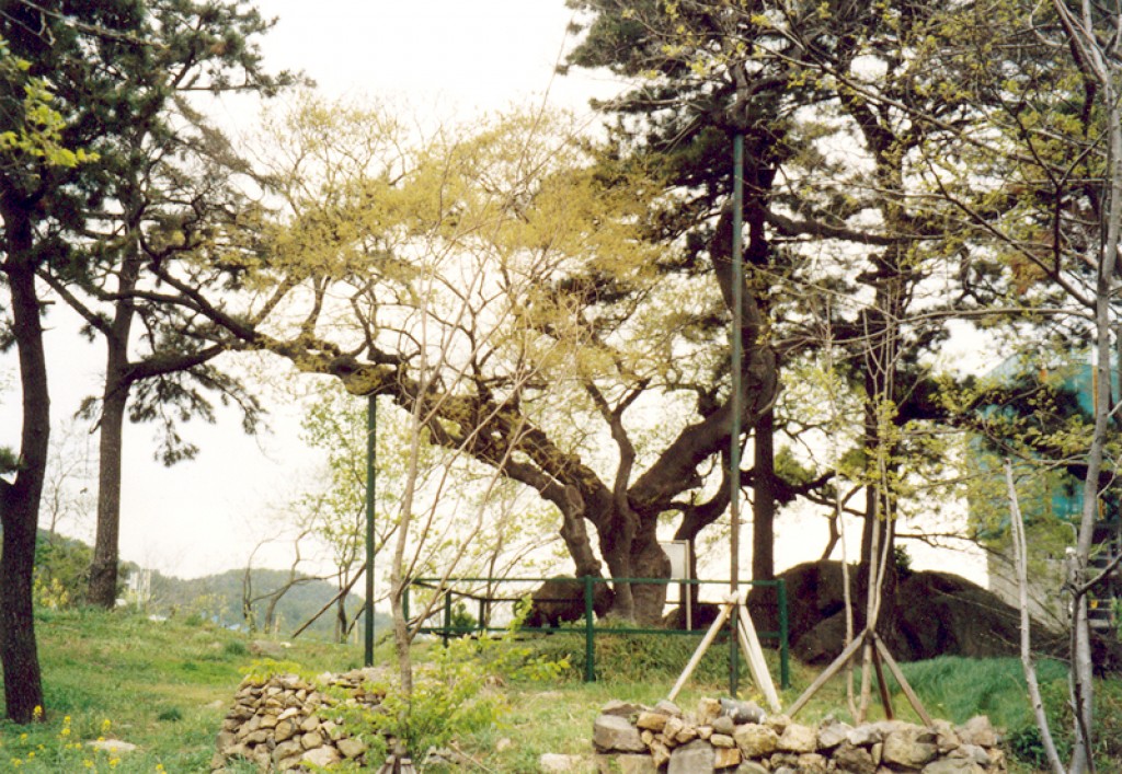 정과정유적지(鄭瓜亭遺蹟址) 근경
