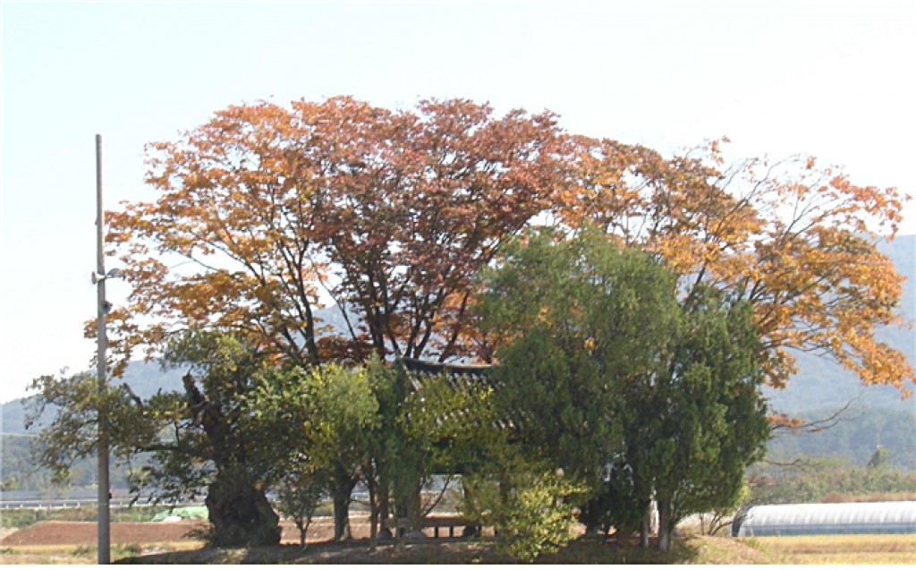 산수동마을