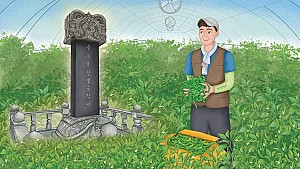 이순풍 선생의 선견지명으로 생긴 당진 꽈리고추