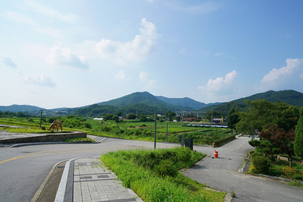 충주 동락초교 원경