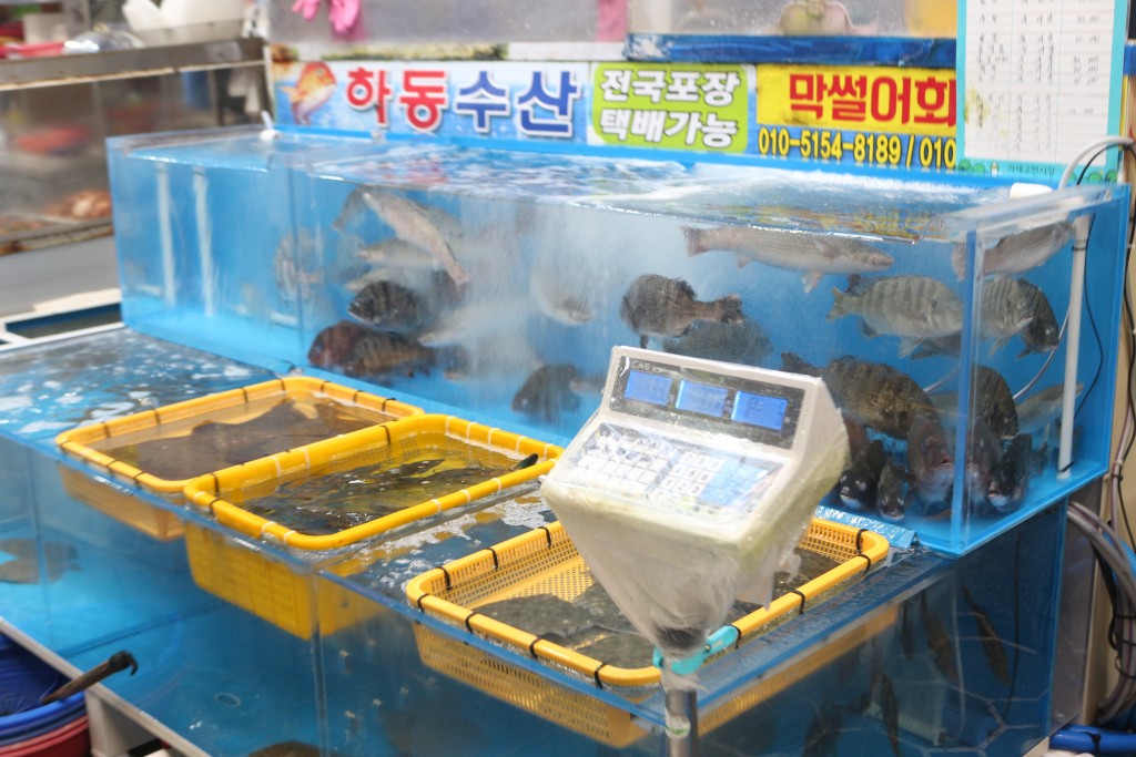 고현항에서 잡은 신선한 해산물로 활기가 넘치는 거제고현시장<소중한 기억 속 푸짐한 情, 시장<지역N문화 테마 고현항에서 잡은 신선한 해산물로... 