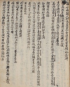 의병을 구한 헌병보조원, 의병대장으로 노원에 주둔하다