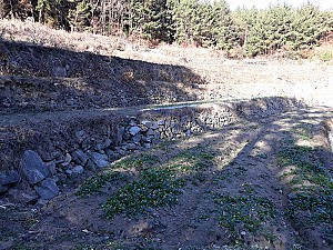 팔만대장경에 담긴 남해군민의 염원