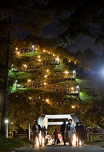 6만평 하늘공원에서 펼쳐지는 서울억새축제