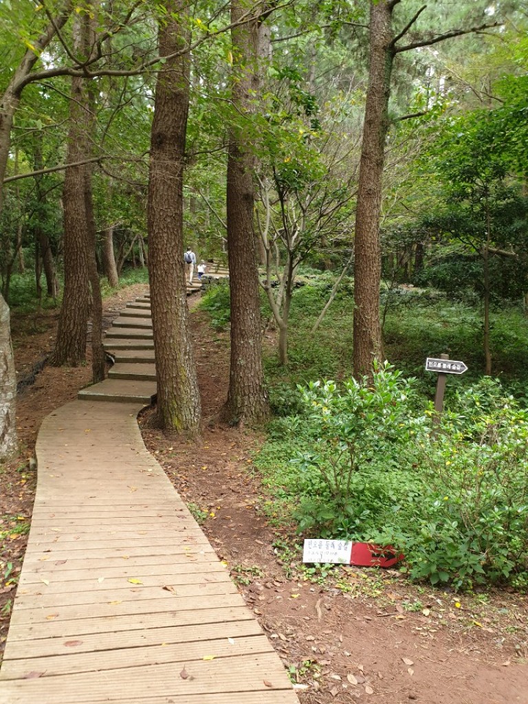 오라 민오름 산책로 이미지