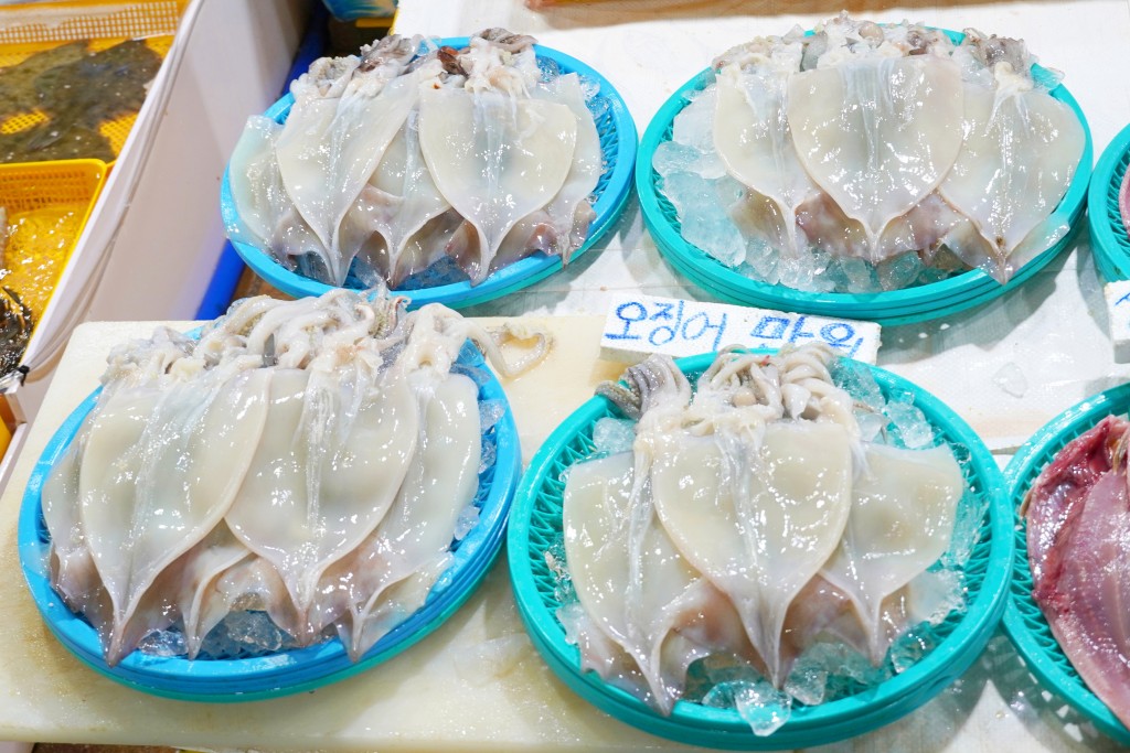 강릉 주문진수산시장 해산물 