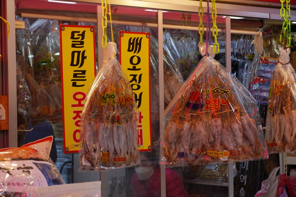 강릉 주문진수산시장 해산물 