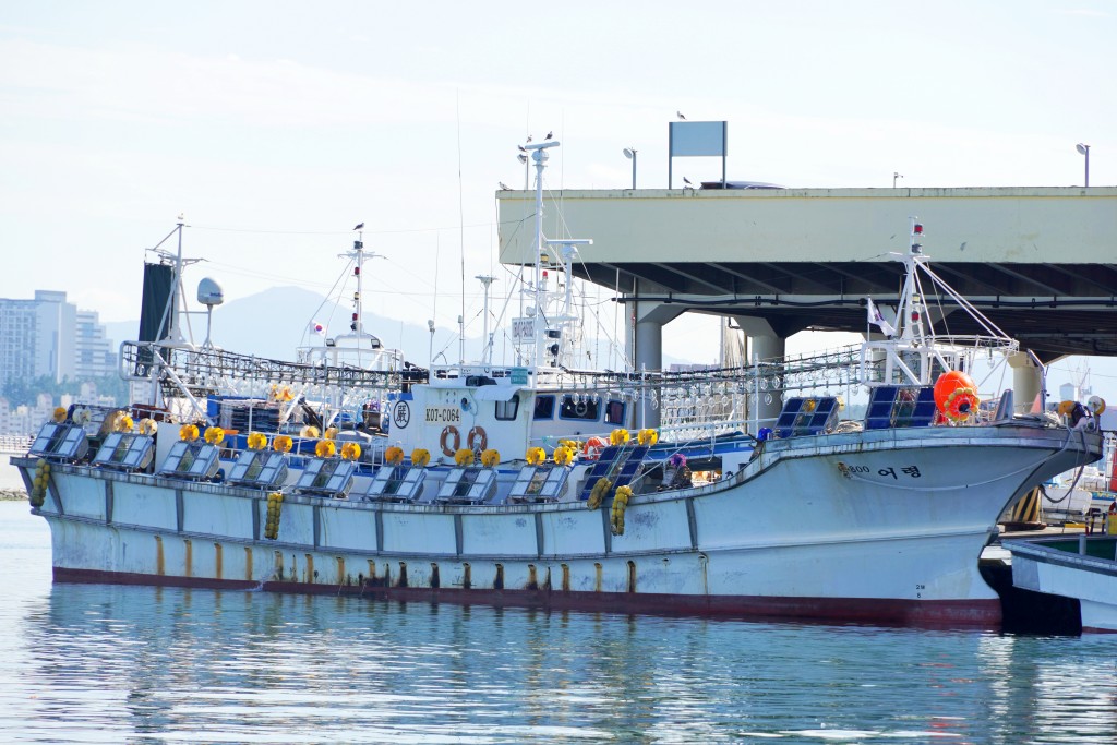 강릉 주문진항 배 