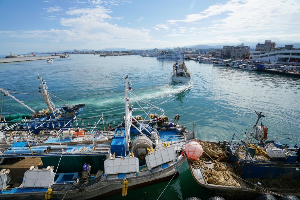 강릉 주문진항 배 
