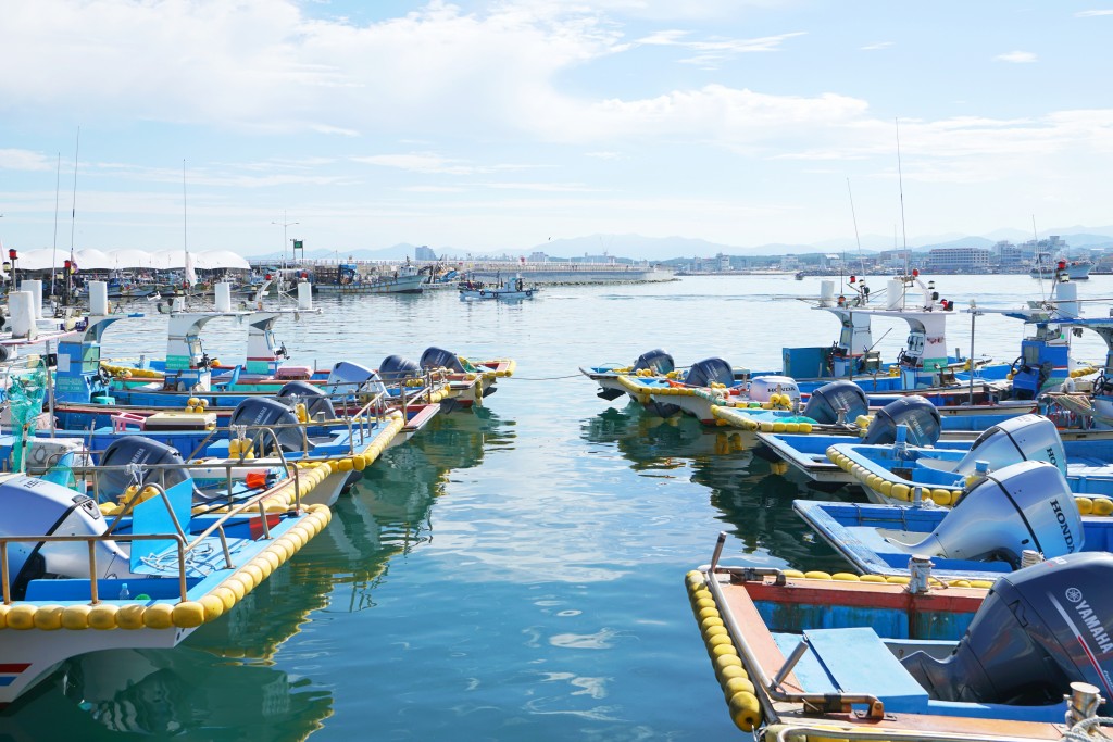 강릉 주문진항 부둣가 