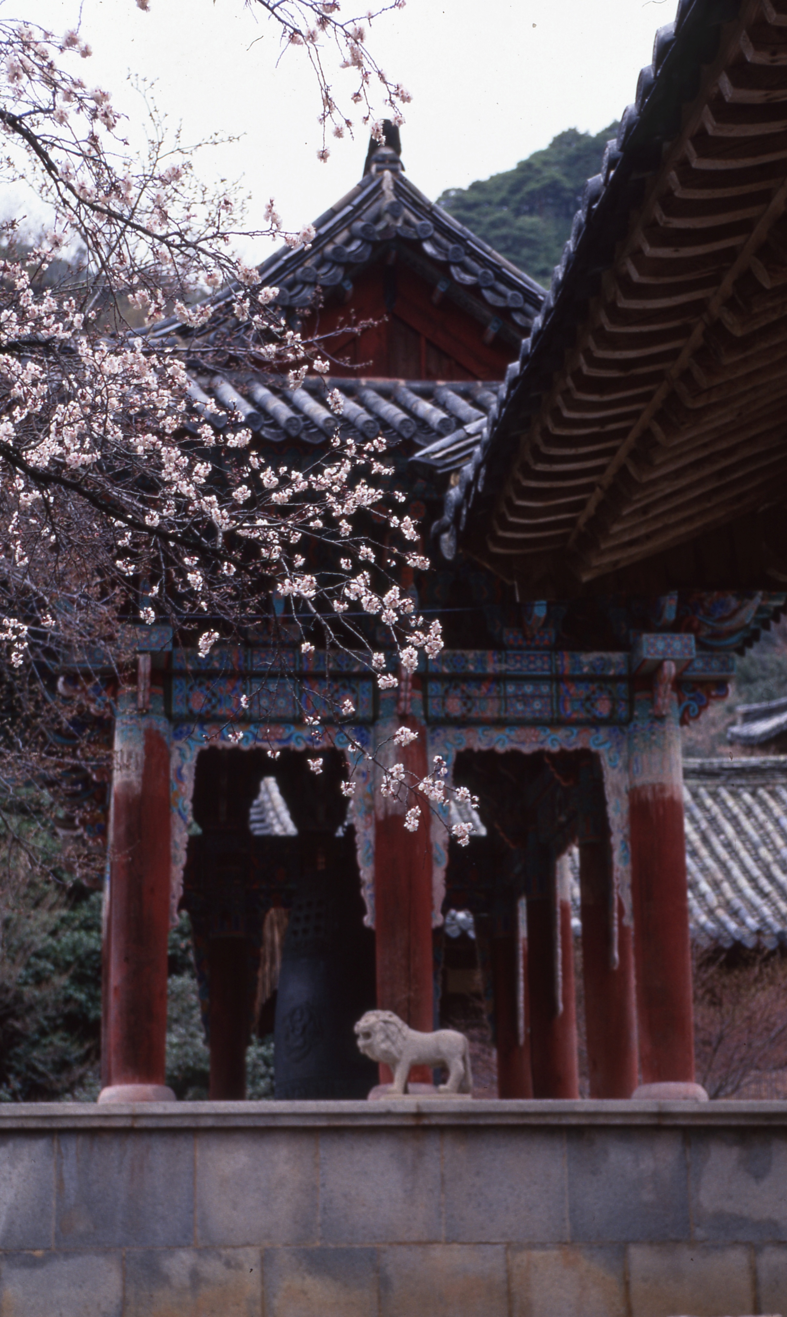 지리산 화엄사 3층석탑