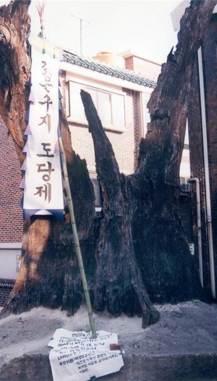 부천 깊은구지 도당제, 700년을 잇는 마을의 숨결