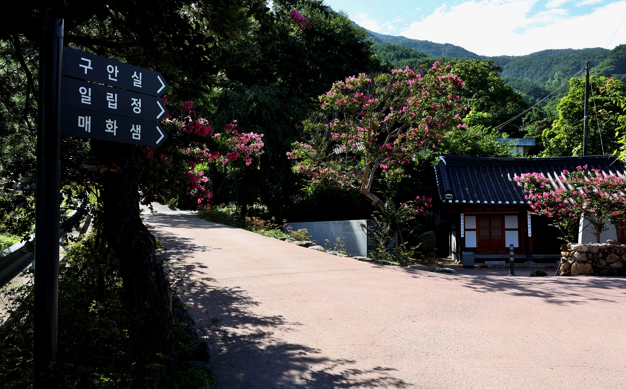 뜰에 심은 열 다섯 가지 초목