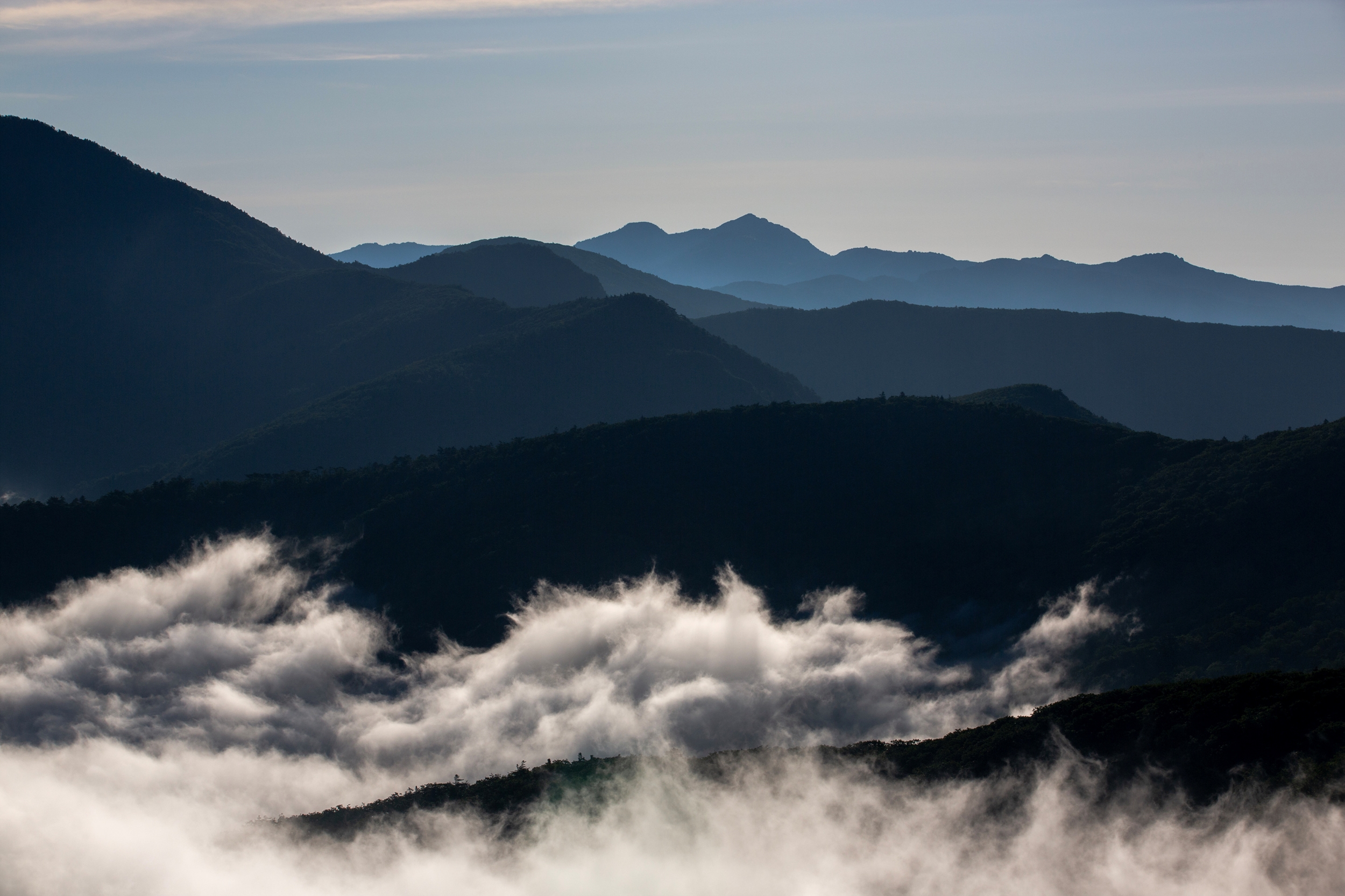 지리산을 국립공원으로 만든 구례사람들